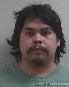 Mugshot of MICHAEL D SEKI