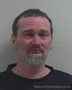 Mugshot of DARREL L OLSON