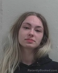 Mugshot of NATALIE E BERG