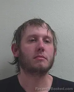 Mugshot of WILLIAM R GONSER