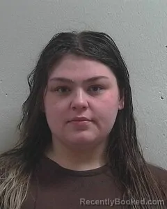 Mugshot of MEGAN M LAMPHIER
