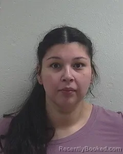 Mugshot of ERIKA D BELLANGER