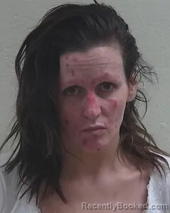 Mugshot of BRINA L DAY