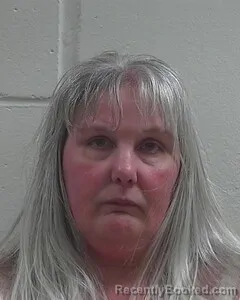 Mugshot of LISA M PEDERSEN