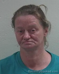 Mugshot of ERICA L PETHERS