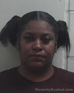 Mugshot of RYANNE S LANDERS
