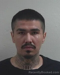 Mugshot of DILLON G TAYLOR