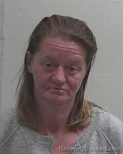 Mugshot of ERICA L PETHERS