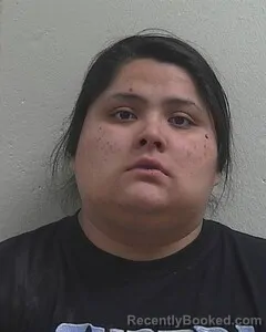 Mugshot of LEELEE BAKER