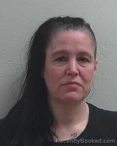 Mugshot of BRANDI L NIESEN booked in Douglas County, Wisconsin on April 17, 2026