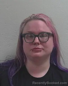 Mugshot of DESIREE L VEILLET booked in Douglas County, Wisconsin on April 25, 2026