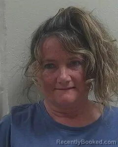 Mugshot of SHEILA L OLSON booked in Douglas County, Wisconsin on April 30, 2026