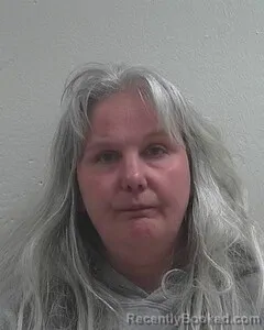 Mugshot of LISA M PEDERSEN booked in Douglas County, Wisconsin on May 1, 2026
