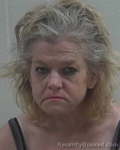 Mugshot of TAMMY S HEGBLOOM booked in Douglas County, Wisconsin on May 3, 2026