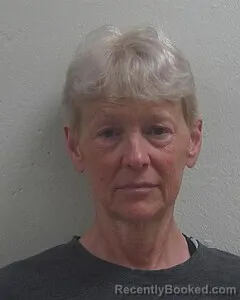 Mugshot of ANGELA L BROWN booked in Douglas County, Wisconsin on June 5, 2026