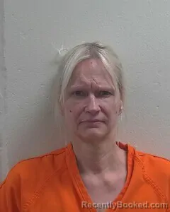 Mugshot of LISA M ANKER booked in Douglas County, Wisconsin on July 30, 2026