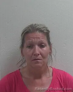 Mugshot of DAYNA M ENGSTROM booked in Douglas County, Wisconsin on August 2, 2026