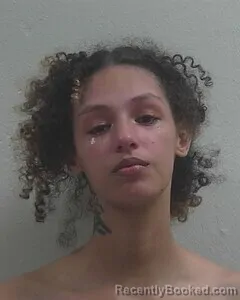 Mugshot of Destiny A Stubblefield booked in Douglas County, Wisconsin on August 17, 2026