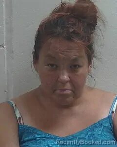 Mugshot of Linnea R Gale booked in Douglas County, Wisconsin on August 25, 2026