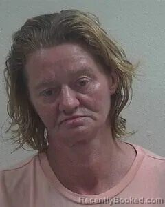 Mugshot of Erica L Pethers booked in Douglas County, Wisconsin on August 30, 2026