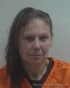 Mugshot of Amy J Buchanan booked in Douglas County, Wisconsin on August 30, 2026