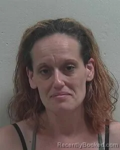 Mugshot of Pamela G Mcmullin booked in Douglas County, Wisconsin on September 9, 2026