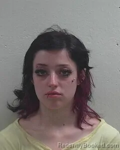 Mugshot of Aleighia M Lopez booked in Douglas County, Wisconsin on September 13, 2026
