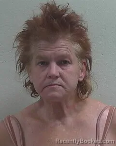 Mugshot of Tammy S Hegbloom booked in Douglas County, Wisconsin on October 7, 2026