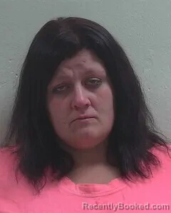 Mugshot of Alysha L Frink booked in Douglas County, Wisconsin on October 20, 2026