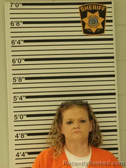 Mugshot of ALICIA LEE