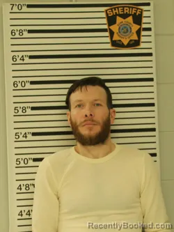 Mugshot of KELIN BURKE