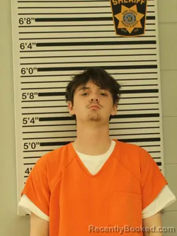 Mugshot of COBAIN NELSON