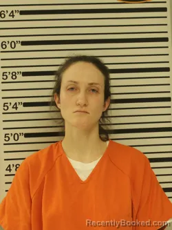 Mugshot of NICOLE ROOT