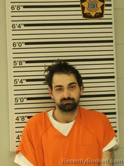 Mugshot of STEVEN WOLLENZIEN