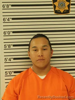 Mugshot of IRA HANKINSON