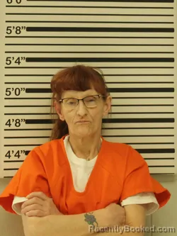 Mugshot of PAMELA ANDERSON booked in Dunn County, Wisconsin on April 21, 2026