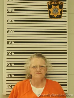 Mugshot of TERRI HENDRICK booked in Dunn County, Wisconsin on April 22, 2026