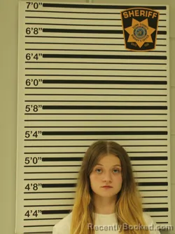 Mugshot of JORDAN SHULTZ booked in Dunn County, Wisconsin on May 11, 2026