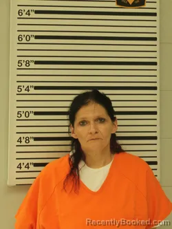 Mugshot of BRITNI GREGERSON booked in Dunn County, Wisconsin on June 1, 2026