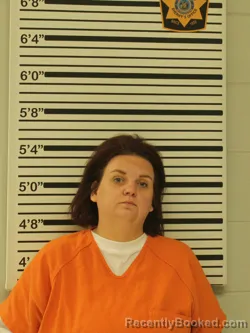 Mugshot of MARYJO STABENOW booked in Dunn County, Wisconsin on June 2, 2026