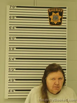 Mugshot of JEANNA ERICKSON booked in Dunn County, Wisconsin on June 20, 2026
