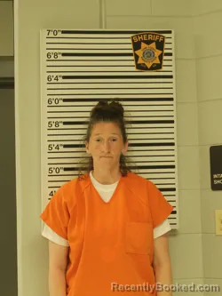 Mugshot of Amanda Tulley booked in Dunn County, Wisconsin on August 10, 2026