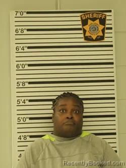 Mugshot of Briana Rice booked in Dunn County, Wisconsin on September 7, 2026