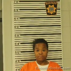 Mugshot of Martell N Tolbert Mitchell booked in Dunn County, Wisconsin on September 24, 2026