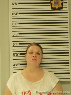 Mugshot of Dezra Jean Tanner booked in Dunn County, Wisconsin on October 11, 2026