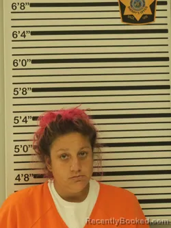 Mugshot of Brandi Lynn Martin booked in Dunn County, Wisconsin on October 16, 2026