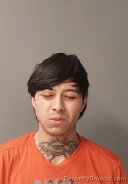Mugshot of PEDRO ALEJANDRO VILLANUEVA MARTINEZ