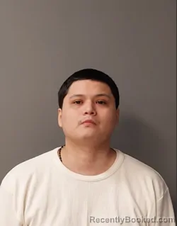 Mugshot of ANDERSON GERSON NOE