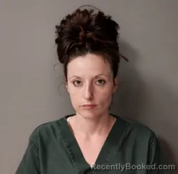 Booking photo from Iowa County, Wisconsin