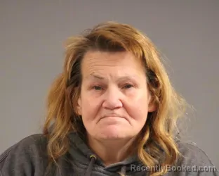 Mugshot of DEBRA JEAN HAYNES